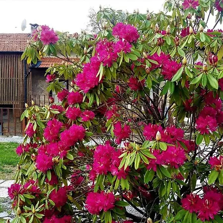 Quinta Do Vale